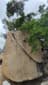 Kineton